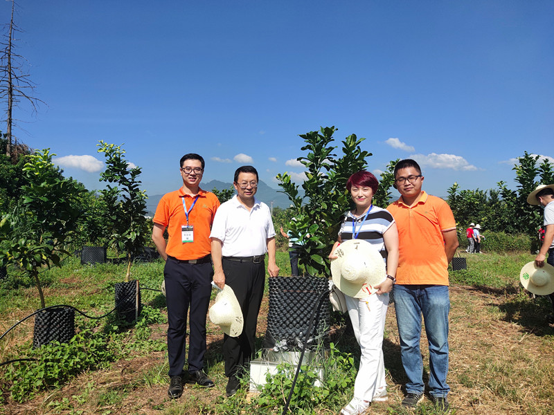 MrCat猫先生电竞(中国)官方网站